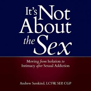 Andrew Susskind, It's Not about the Sex book cover image